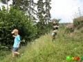 IMG_8895