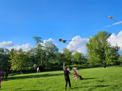 teambuilding-reviste09