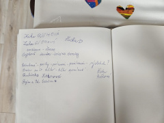 vernisaz-roztocme-farby50