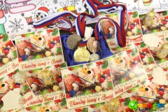 Vianočný turnaj v Boccii 2017