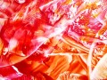 vianocny-usmev-2012-055